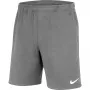 Vīriešu Nike Park 20 šorti tumši pelēkā krāsā CW6910 071