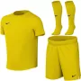 Nike Dri-FIT Park VIII Mazo bērnu sporta komplekts Dzeltens L