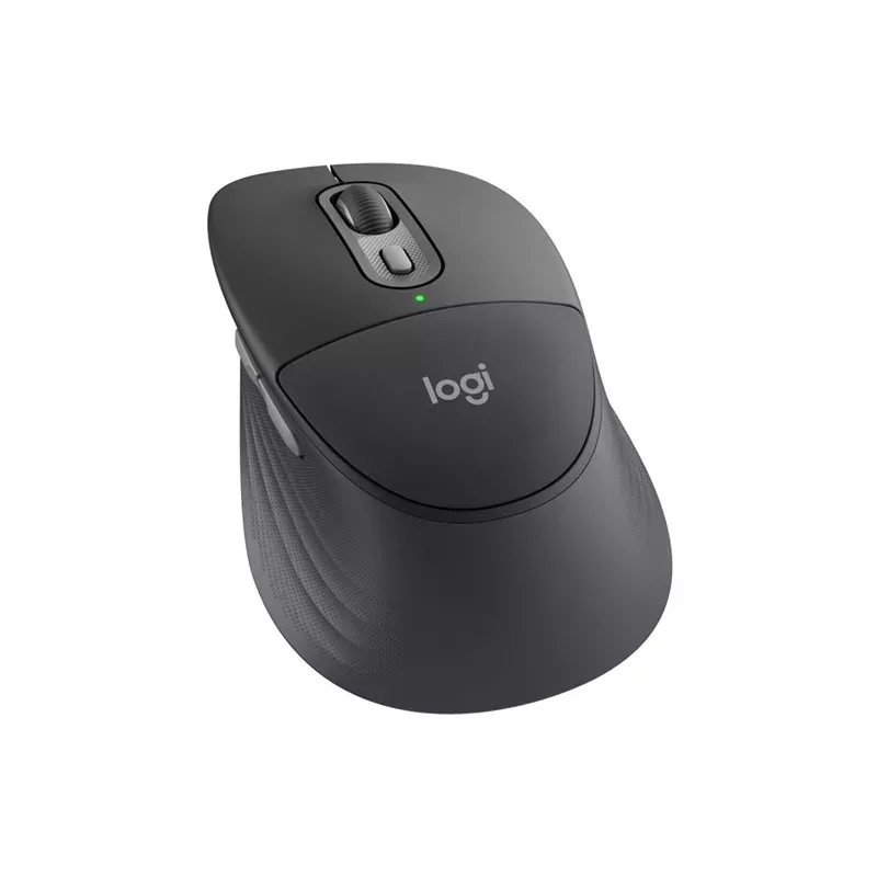 Logitech M850 L for Business bezvadu pele - Grafīts