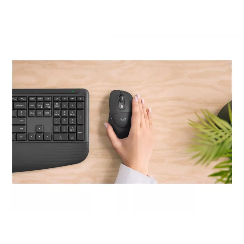 Logitech M850 L for Business bezvadu pele - Grafīts