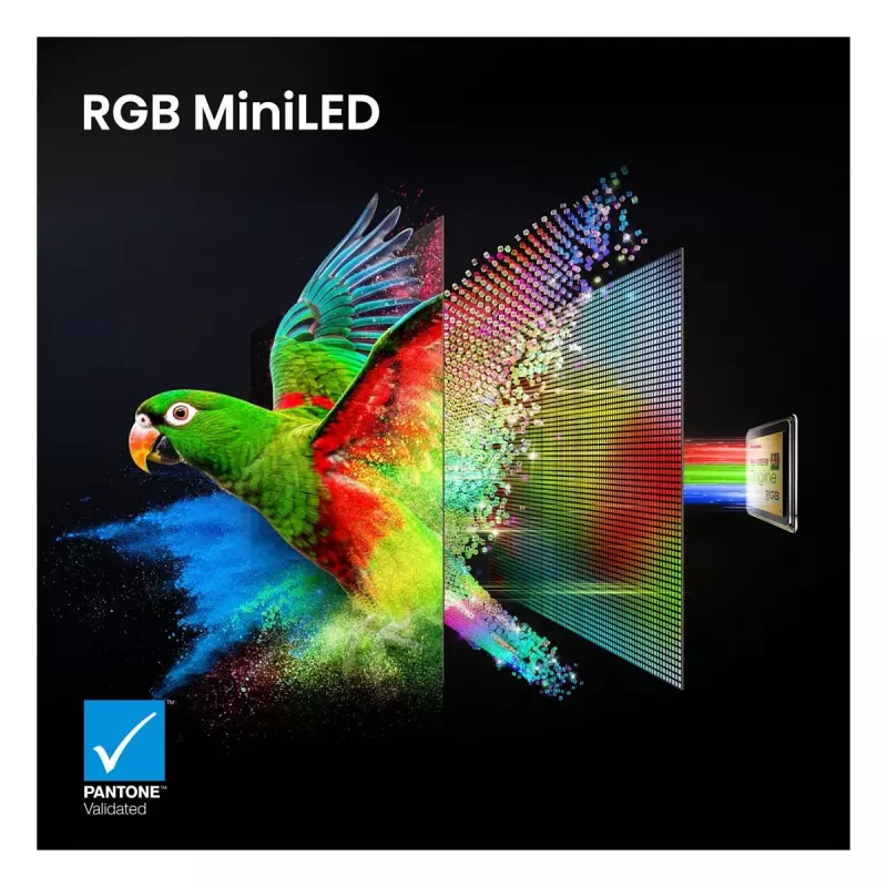 HISENSE 65UR9DS 65 collu 4K UHD RGB MiniLED viedtelevizors, 170Hz, 6ms, HDR, WiFi, Bluetooth, Melns/Pelēks