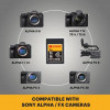 Kodak CFexpress Type A 1 TB Memory Card EKMCFXA1TK
