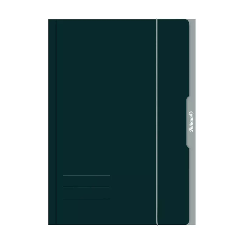 Pelikan 276856 Aprites mape A3 kartons zaļš