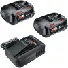 Bosch 18V Starter Set 2 x 2.5 Ah Akumulatori + AL 18V-44 Lādētājs (1600A031T5)