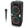 MEDION PE-1 Pure Party Speaker Black - Bluetooth 5.0, 40W RMS, 2x 6.5 inch skaļruņi, karaoke, TWS, LED gaismas, Power Bank