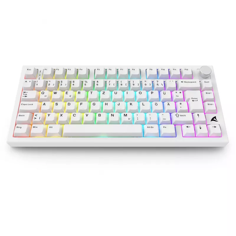 Sharkoon SGK55W SKILLER Wireless Gaming Keyboard, 75% Layout, PBT Keycaps, White