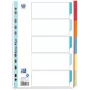 Oxford Folder Dividers DIN A4 Full Format Blank Assorted 5-Part