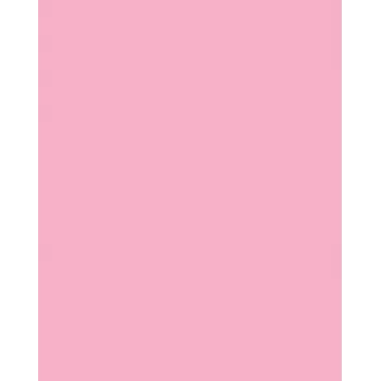 Folia 614/50 26 - Rozā - Vienkrāsains - A4 (210 x 297 mm) - 300 g/m² - 50 loksnes - Vācija