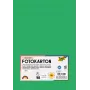 Folia 614/50 54 - Zaļš - Vienkrāsains - A4 (210 x 297 mm) - 300 g/m² - 50 loksnes - Vācija