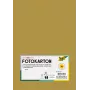 Folia 614/50 65 - Zelts - Viendabīga krāsa - A4 (210 x 297 mm) - 300 g/m² - Matēts - 50 loksnes