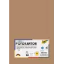 Folia 614/50 75 - Brūni sarkans - Monohromatisks - A4 (210 x 297 mm) - 300 g/m² - 50 loksnes - Vācija