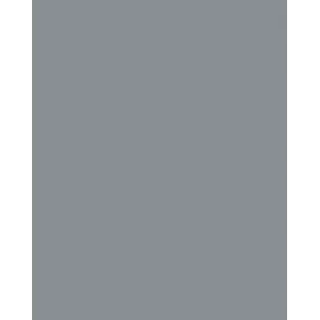 Folia 614/50 84 - Pelēks - Vienkrāsains - A4 (210 x 297 mm) - 300 g/m² - 50 loksnes - Vācija
