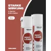 Teslanol Rust Remover Spray 200 ml