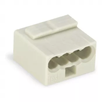 WAGO 243-304 PUSH WIRE® Savienotājs 2-Vadu 100V 24A Caurspīdīgs