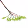 EFB Elektronik Fibre Pigtail LC 50/125 OM5 12-Krāsu komplekts 2 m