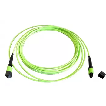 EFB Elektronik MTPF12MTPFOM5-2 2m OM5 MTP to MTP Fiber Patch Cable