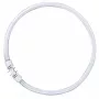 OSRAM LUMILUX T5 FC Apļveida dienasgaismas spuldze 40W 830 2GX13 Silta balta 3000K
