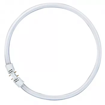 OSRAM LUMILUX T5 FC Apļveida dienasgaismas spuldze 55W 865 Daylight 2GX13