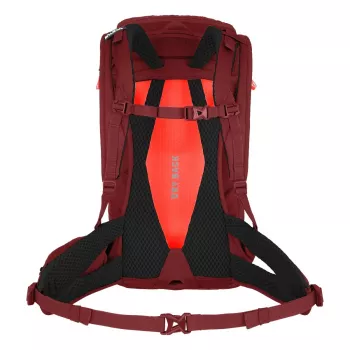 SALEWA Alp Trainer 20 Sieviešu Mugursoma Syrah