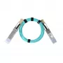 BlueOptics Synology QSFP-AOC-2M saderīgs aktīvais optiskais kabelis 2m