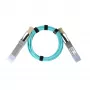 BlueOptics Synology QSFP-100G-AOC-2M saderīgs AOC QSFP28 aktīvais optiskais kabelis 2m