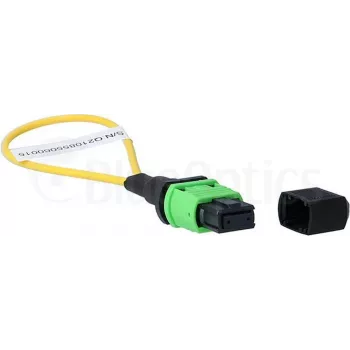 BlueOptics Loopback Adapter MPO/MTP Singlemode SM 9/125µm APC Keramikas Ferrule