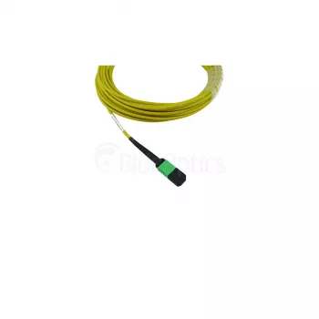 BlueOptics Cisco CB-M12-M12-SMF2M MPO-MPO vienmodas G.657.A1 savienojuma kabelis, 2 m