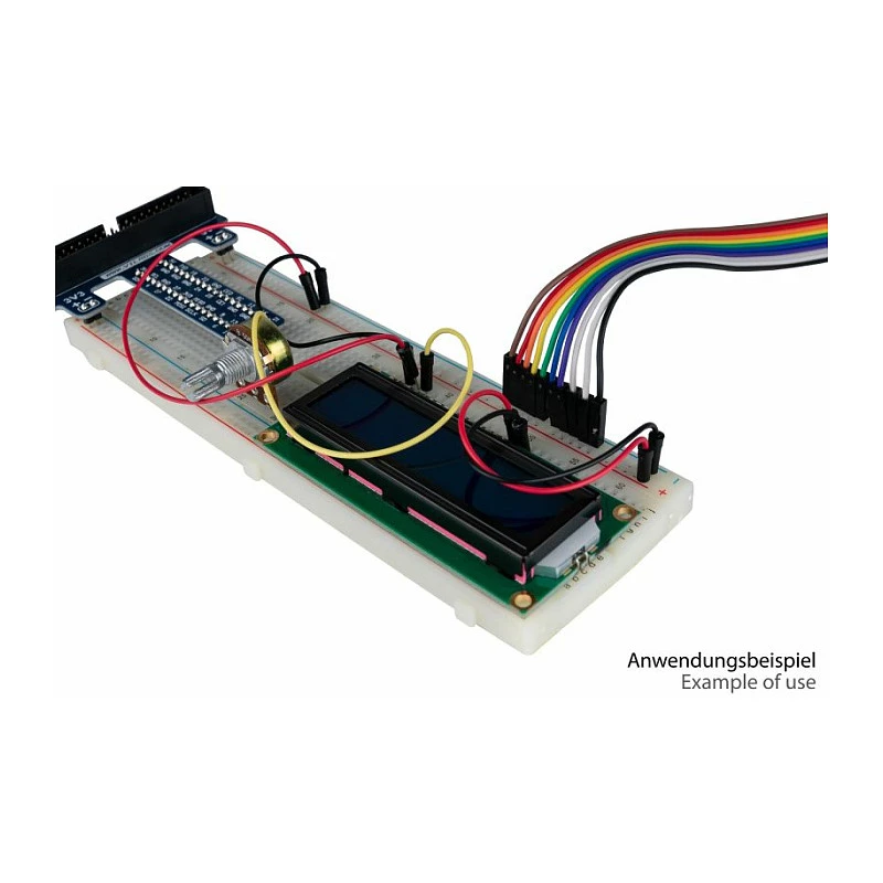 Kabelmeister Jumper Wire 40-Pin Separable Wires for Arduino, Raspberry Pi etc., Female to Female, 20 cm