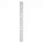 LMG Signaltechnologie 100 Filing Strips for Plastic Binding Machine, Transparent, 2-Prong, A4