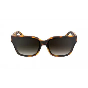 KARL LAGERFELD KL6161S-240 Sieviešu lielizmēra kvadrātveida saulesbrilles, Havana Brown ar brūnām gradienta lēcām, 63/14/140 mm