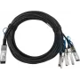 BlueLAN saderīgs Mellanox MCP7H50-V001R30 pasīvs 200GBASE-CR4 QSFP56 uz 2x100GBASE-CR2 QSFP56 Direct Attach Breakout kabelis, 1 metrs, AWG26