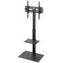 TV vai monitora statīvs BRATECK-FS22-44TP