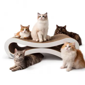 MOZOS KITTY-SPIKE Kaķu skrāpēklis un atpūtas gulta, kartons, liela, 86 cm XXL