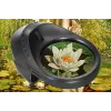 Levenhuk ERGO 30 Digital Microscope 2.0 MP 20x-230x USB