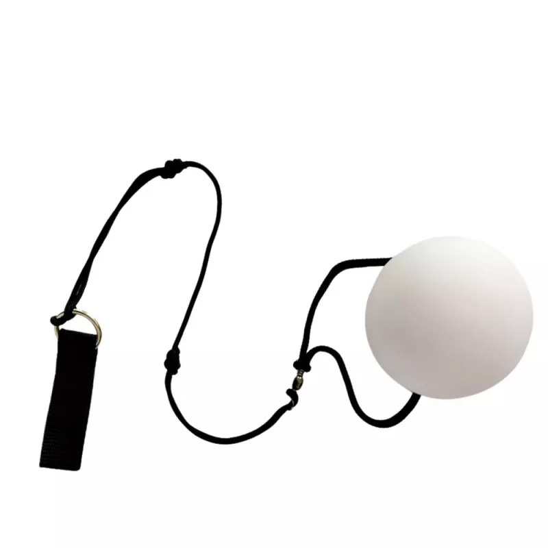 LEAN TOYS Žonglēšanas bumbiņas ar šķiedru optikas LED, 2 krāsas