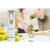 ZELMER ZHB4555S 1000W iegremdējamais blenderis, sudraba/melns, nerūsējošā tērauda asmens, mainīgs ātrums ar turbo, smalcinātājs 500ml, putotājs, krūze 700ml