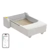 UBPet C31 Smart Self-Cleaning Litter Box
