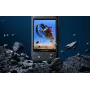 Ekrana aizsargs Insta360 X3 - Rūdīts stikls 9H, 2 iepakojumā