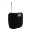 Pure Acoustics Pure Woodland Mini Ūdensizturīgs āra skaļrunis ar FM/DAB+ radio, melns