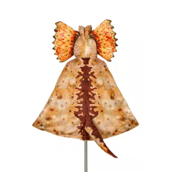 Souza! Dilophosaurus Dinosaur Cape Costume with Hood Mask for Children 4-7 Years