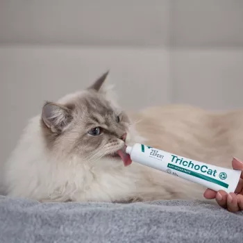 VETEXPERT TrichoCat Anti-Hairball Paste for Cats 120 g