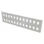 EFB Elektronik Distribution Plate 24 SC-Simplex for Mini Wall Distributor 53605.1V2