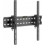 RED EAGLE MAGNUM PLUS TV stiprinājums 32-65