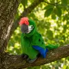 LEAN TOYS Plush Parrot Macaw Exotic Bird Mascot Cuddly Toy Green 24 cm