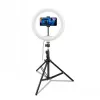 CELLY Ring Professional Statīvs ar Gaismu - 160cm, 10 collu LED gredzenveida gaisma, USB barošana, Melns