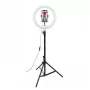 CELLY Ring Professional Statīvs ar Gaismu - 160cm, 10 collu LED gredzenveida gaisma, USB barošana, Melns