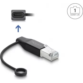Delock USB Type-C tīkla adapteris Gigabit LAN 1 x RJ45 spraudnis