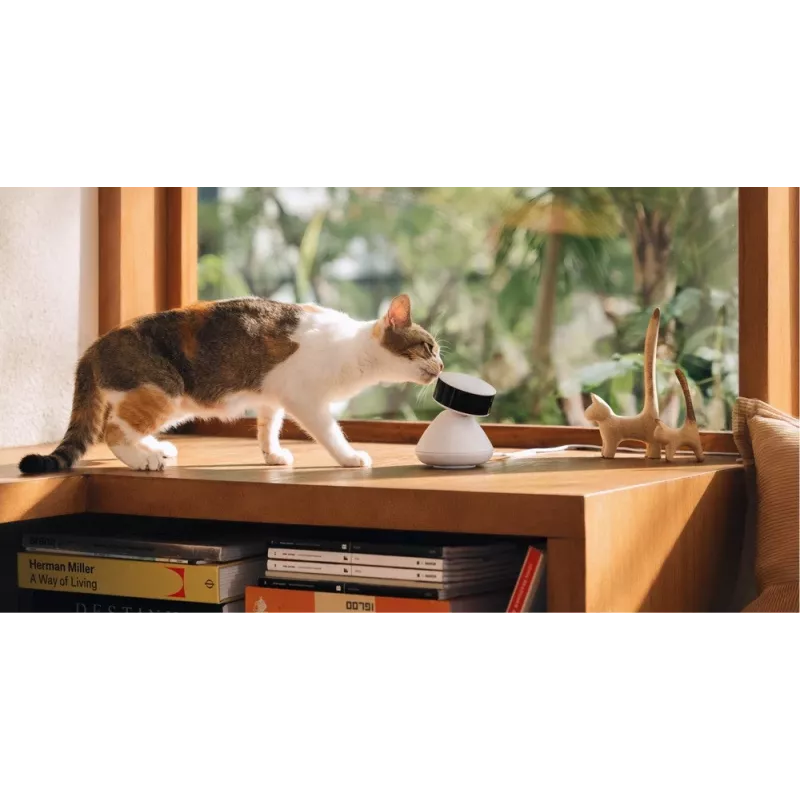 PETLIBRO Scout viedā AI mājdzīvnieku kamera 1080p Full HD ar divvirzienu audio, nakts redzamību, kustības un skaņas noteikšanu, 130° platleņķi, Wi-Fi, MicroSD/mākoņa krātuvi, balta