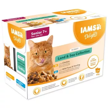 IAMS Delights Senior Land & Sea kolekcija mērcē 12x85g