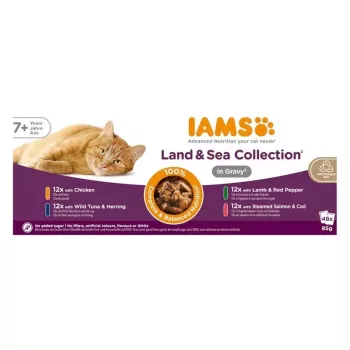 IAMS Delights Senior Land & Sea kolekcija mērcē 12x85g